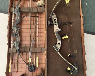 Pair compound bows