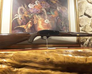 Remington Nylon 66 - semi-automatic 22 LR rifle