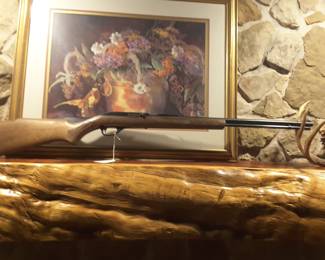 22 caliber Marlin semi-automatic Glenfield Model 60