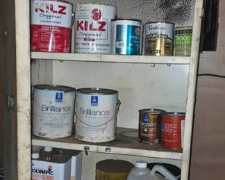 Paints - Shelf