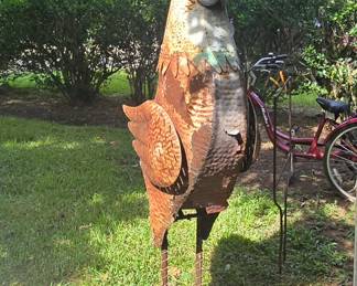 Rooster