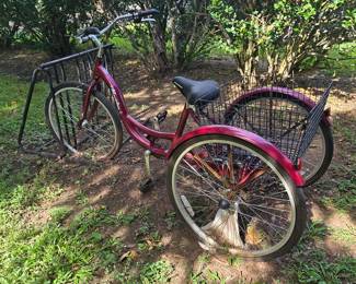 Trike Bike