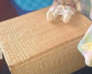 Wicker Trunk