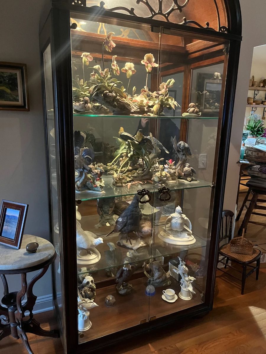Boehm Collection and Curio