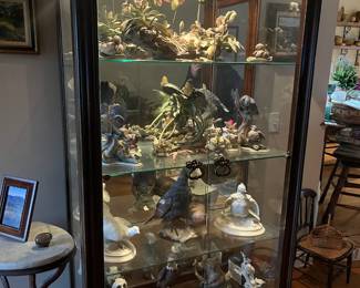 Boehm Collection and Curio