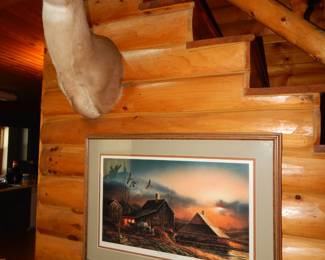 WhiteTail Deer Mount-Terry Signed Framed Print