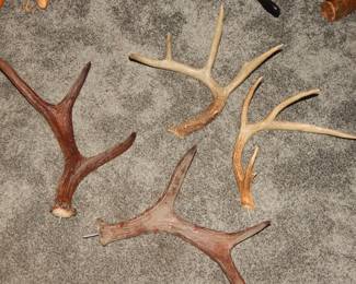 Antlers