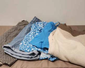 Miscellaneous Womens Clothing Lot 