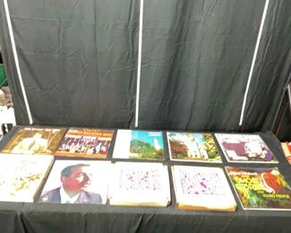 20 Vinyl Record Assortment
