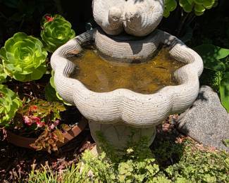 Bird bath