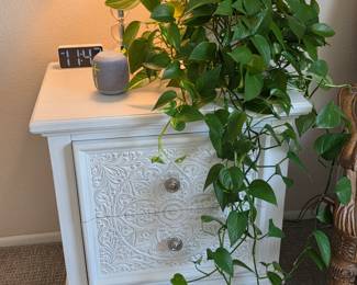 Beautiful whitewash 2 drawer night stand
Pothos plant