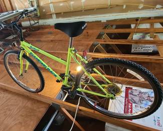 Mountain Bike