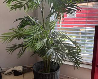 Can’t kill this nice faux plant!
