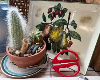 Potted Cacti