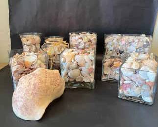 Decorative Seashells in Glass Jars with a Unique Etched Shell