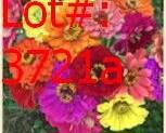 3721a result