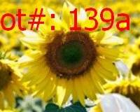 139a result