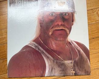 Hulk hogan record