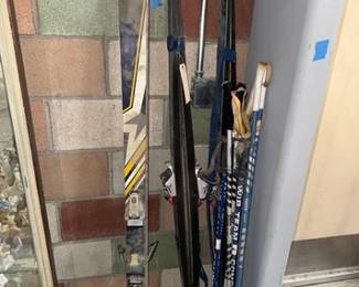 6020  Snow Skies and Poles 