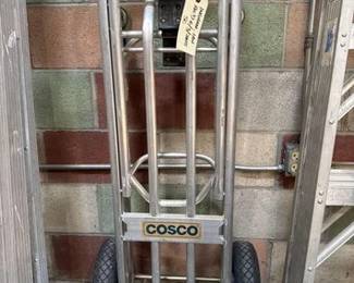 6010  Cosco Dolley 