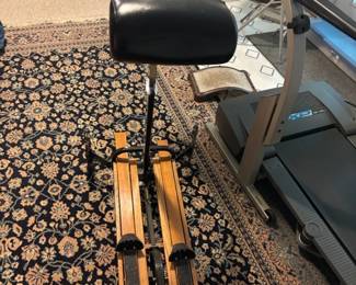 Nordic trak