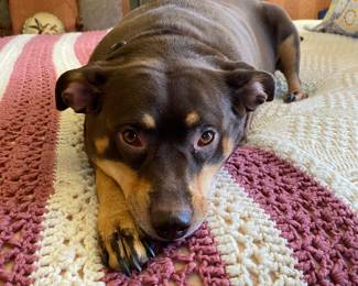 Zelda Modeling the COMFY Afghan  on BED..!!