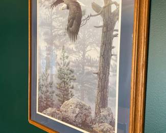 NICE Wildlife Framed Prints