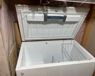 Chest Freezer 
