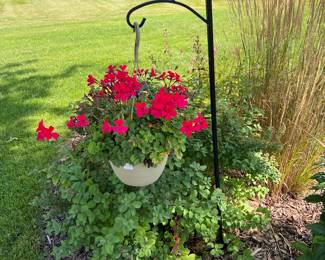 Potted Flowers and Shepherds Hook