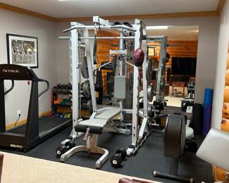 Home Gym!!-True 540 Tread Mill, Hoist HF985 Home Fitness Center, and Life Core Rowing Machine
