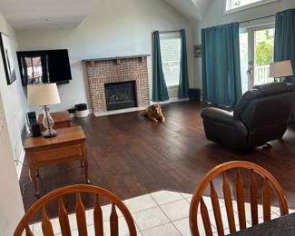 gas fireplace insert - dog not for sale*