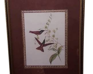 3 Vintage Bird Framed And Matted Prints