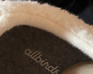 BRAND NEW Allbirds Sneakers