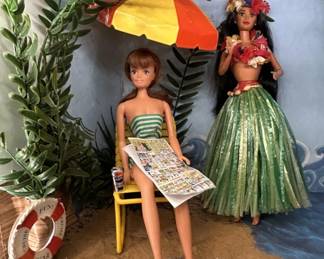 Barbie Beach: 1966 Midge (Barbie) Doll in Swimsuit
1994 Polynesian Barbie Special Edition from Dolls Around the World Series
3D Accessories, as picured