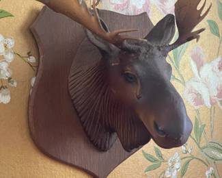Hanging Moose Head