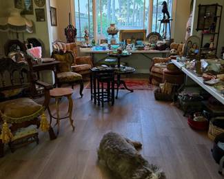 shot of the living room 