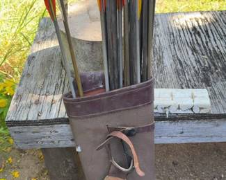 Arrows With Carrying Bag