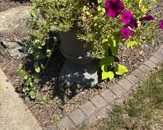 Large urn planters 