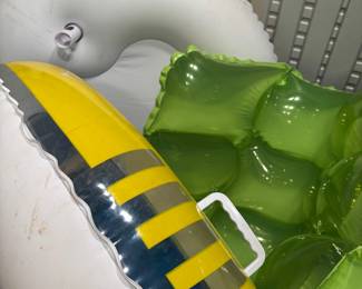 Pool floats 