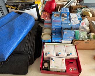 light bulbs and car mats