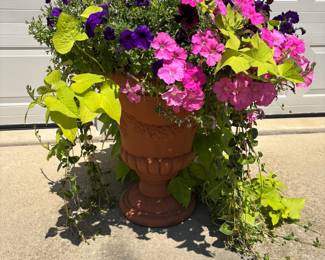Large urn planters 