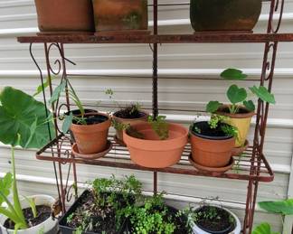 Bakers Rack with Assortment of Pots and Plants