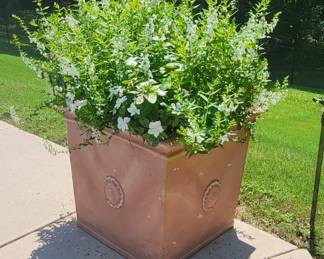 Extra Large Terracotta Planter with Lush Plant