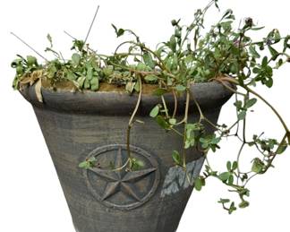 Gray Fiberglass Pot with Live Plant