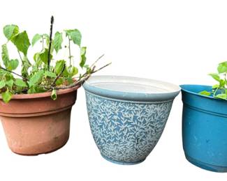 Fiberglass and Plastic Pots with Plants