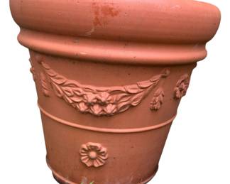 Terracotta Pot w Cinco de Mayo Rose Bush