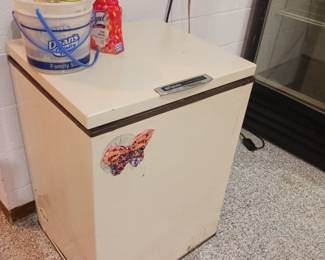 Chest freezer