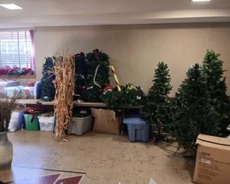 Nice selection of Christmas tree