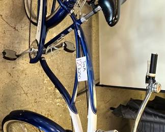 Trek Blue Bike