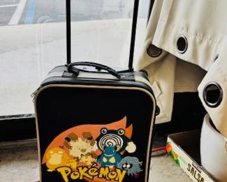Pokemon Travel Case